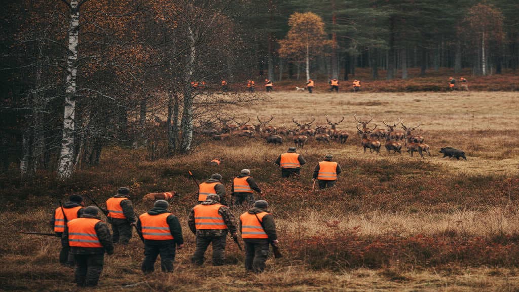 Drevjakt och klappjakt