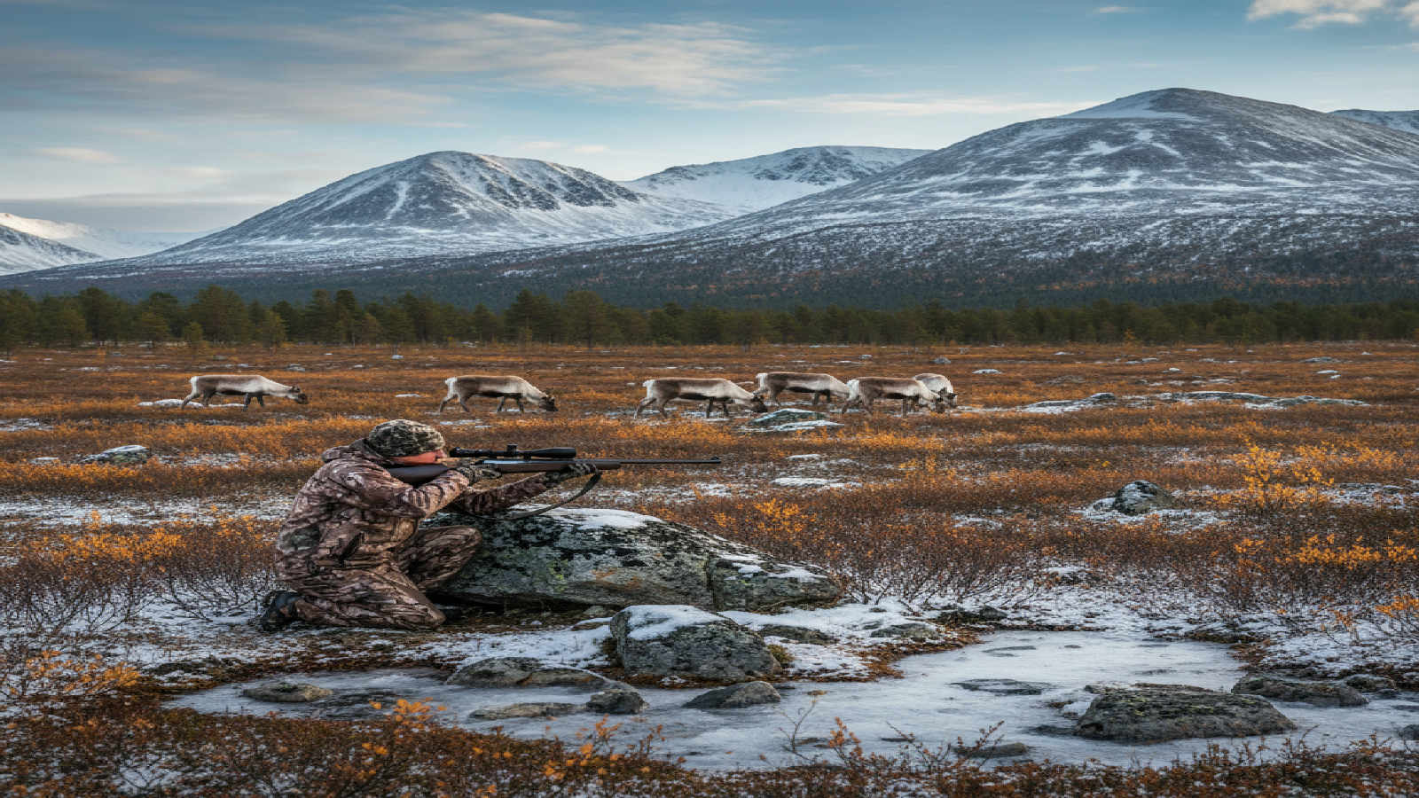 Jakt i fjäll och specialmiljöer