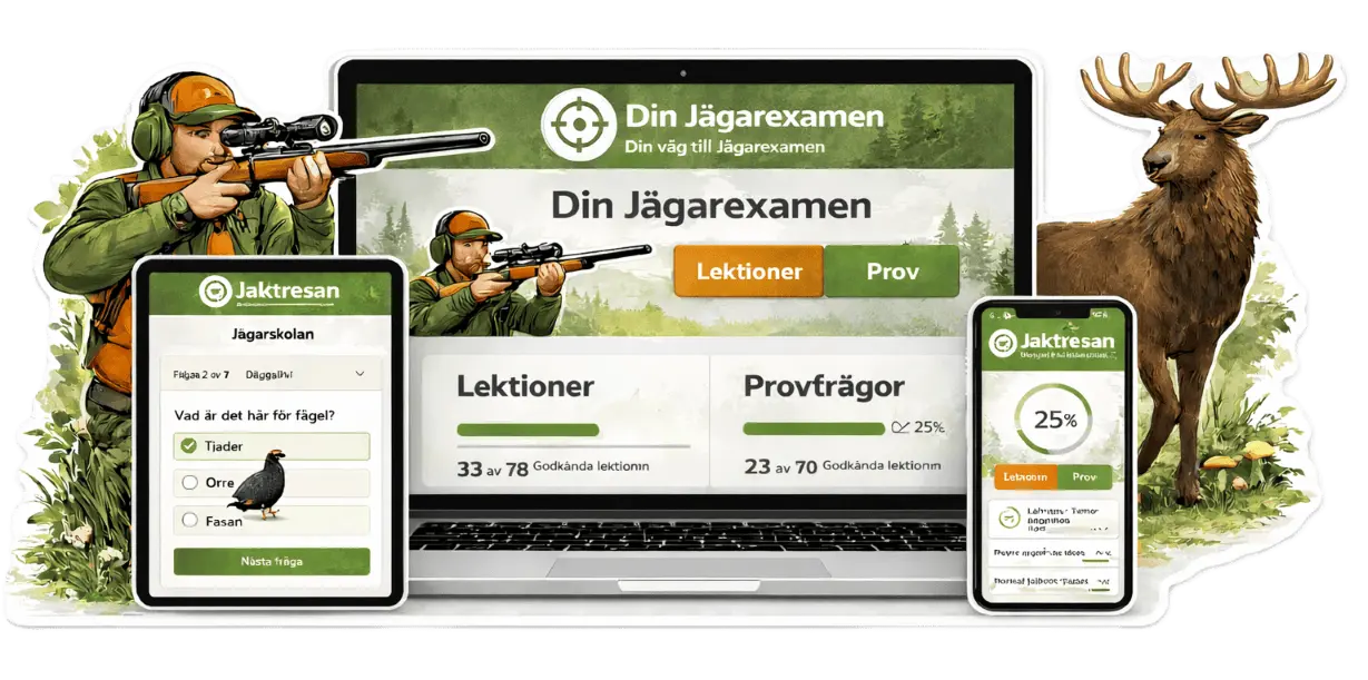 Följ dina framsteg