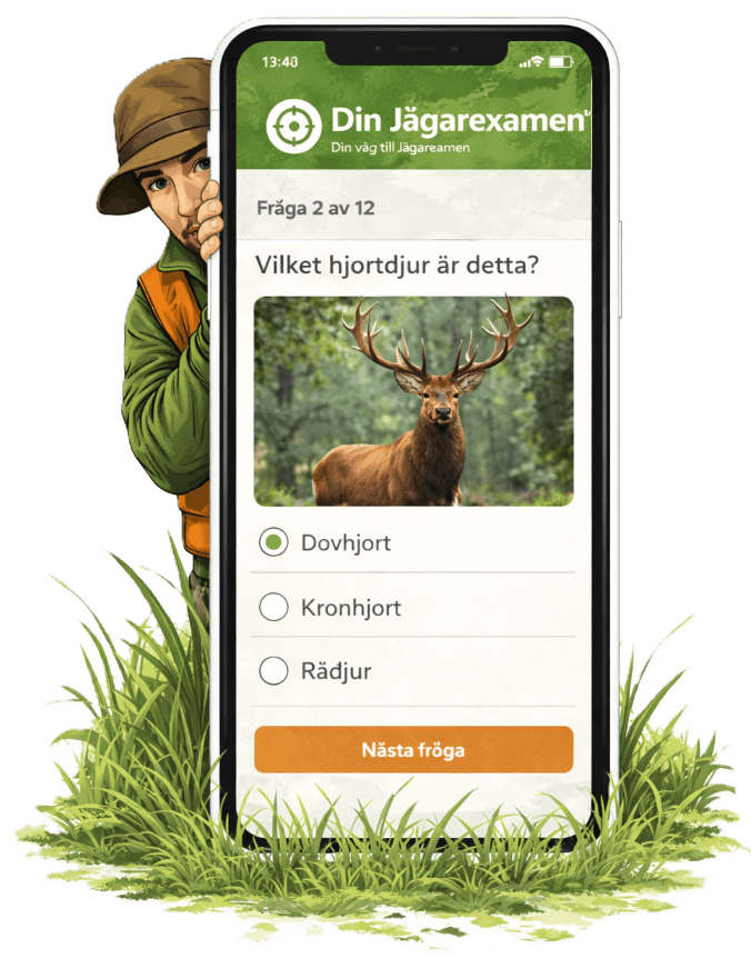 2. Öva med provfrågor