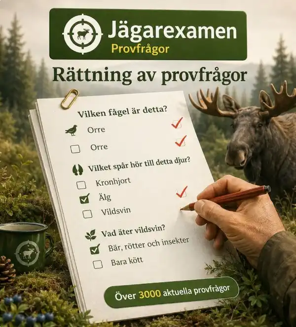 Jägarexamen provfrågor