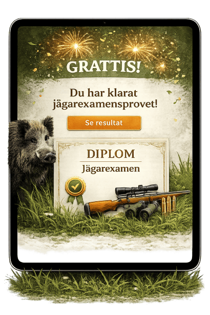 3. Klara examen